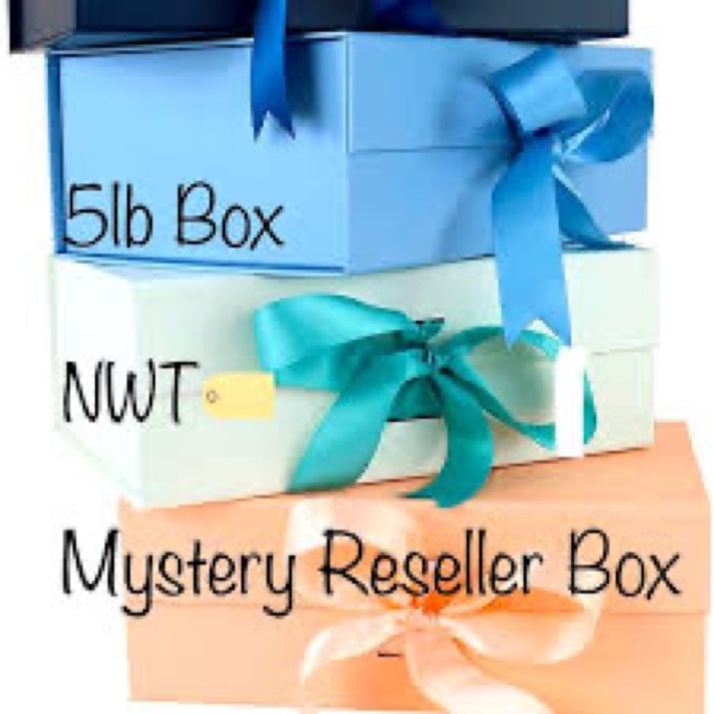 NEW! 10 Piece Mystery NWT and NWOT 5lb Womens Reseller Box packed with 10 Items
